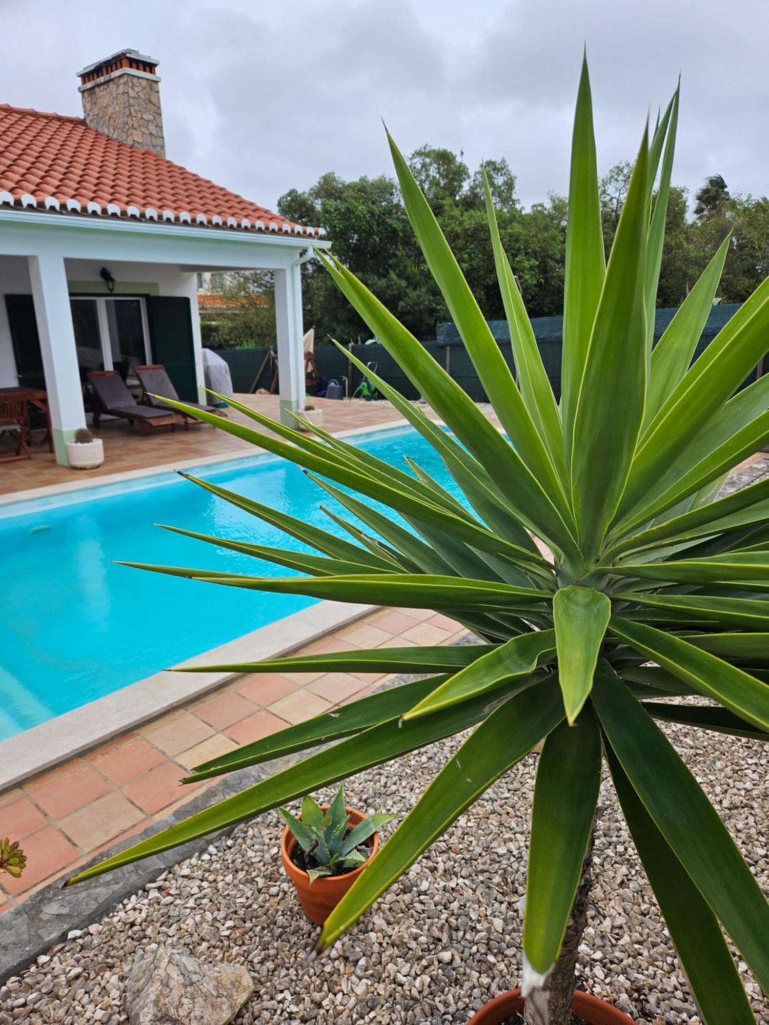 Casa Delbon Guest House Aljezur Ngoại thất bức ảnh