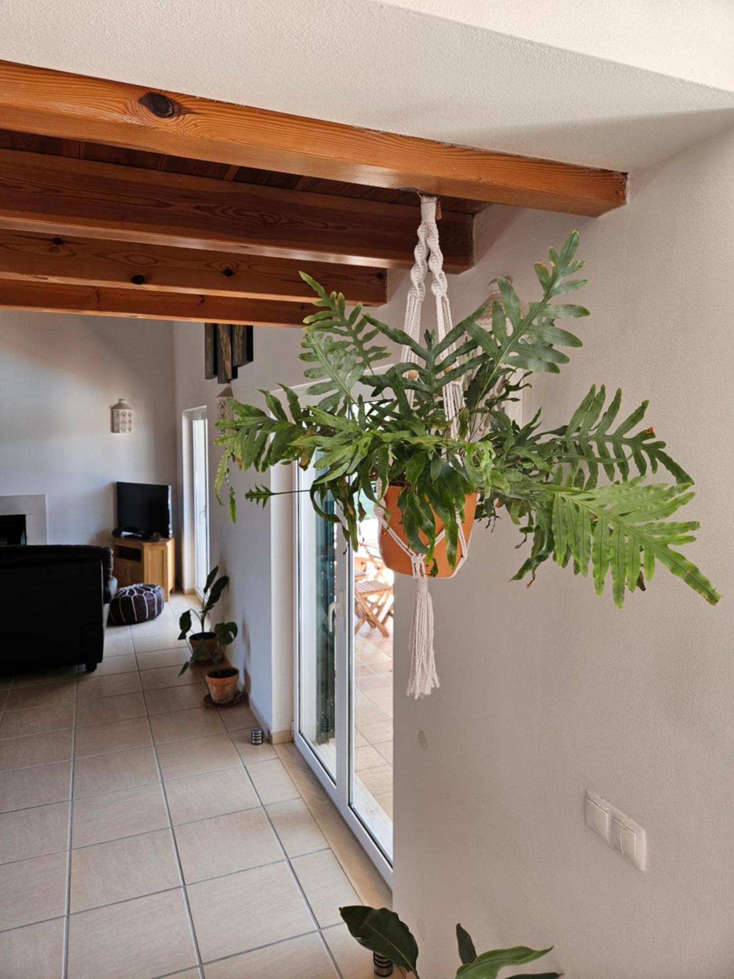 Casa Delbon Guest House Aljezur Ngoại thất bức ảnh